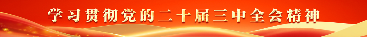 學習貫徹黨的二十屆三中全會精神